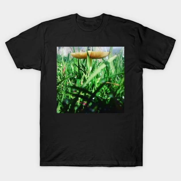 Mushroom Photography Prints #4 T-Shirt by SquishyBeeArt